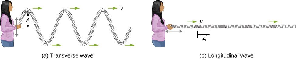 An image of transverse and longitudinal waves moving through a spring